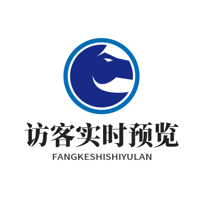 旺商聊访客实时预览